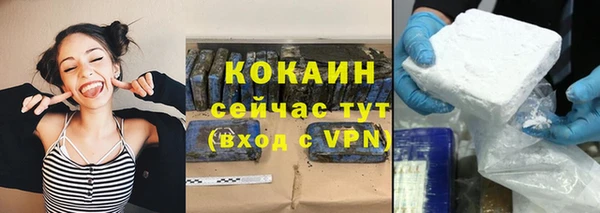 твердый Абаза