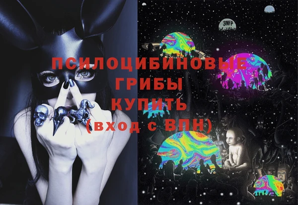 стаф Алексин