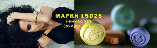 твердый Абаза