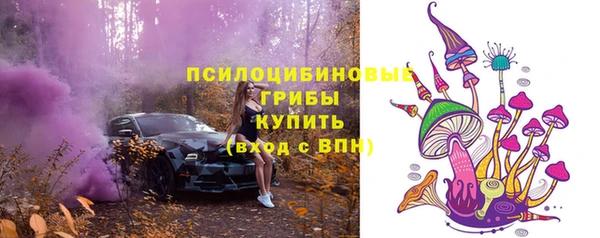 стаф Алексин