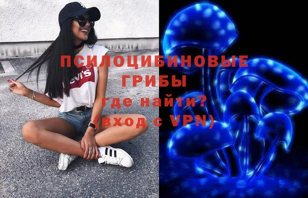 твердый Абаза